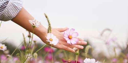 flowers